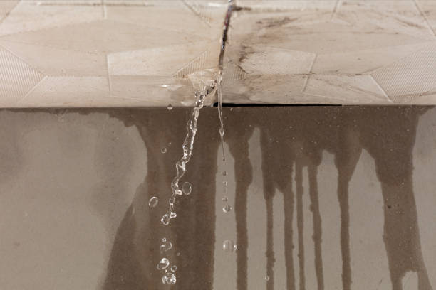 Professional Water Damage Restoration technician working in Plainview, TN